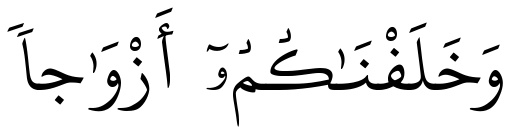 Verset 8